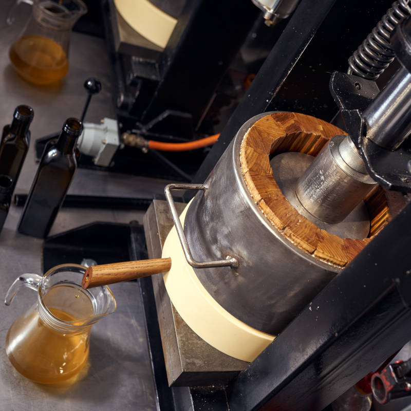 Oil press filling a jug with freshly pressed vegetable oil